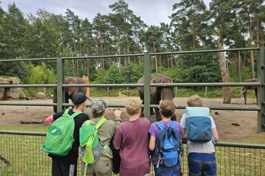 Tag 9&10 &ndash; Auf den Serengeti-Park folgt die M&uuml;digkeit  